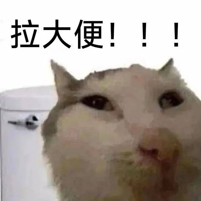 每月丑猫（29） - 丑猫TV - 踩蘑菇社区