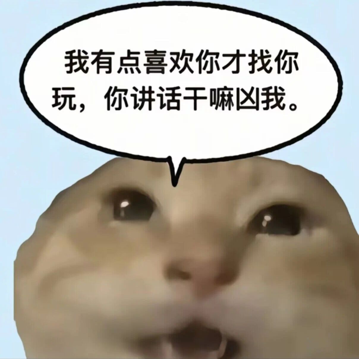 每季度丑猫（32） - 丑猫TV - 踩蘑菇社区