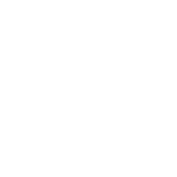 众神之伟智「神谕」