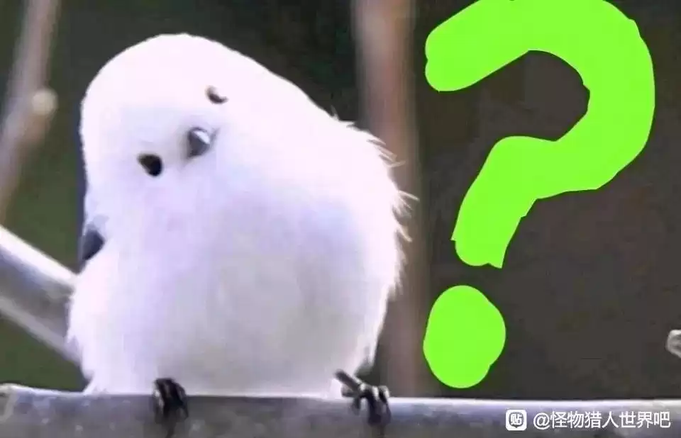 白鸡问号是世界独有的吗?白鸡最 - 怪物猎人世界 - 踩蘑菇社区