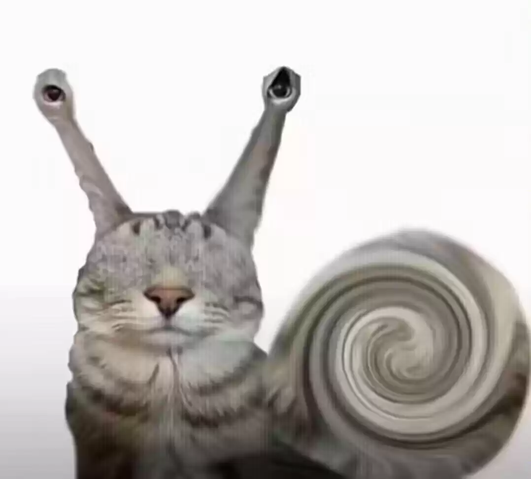 每日丑猫（6） - 丑猫TV - 踩蘑菇社区