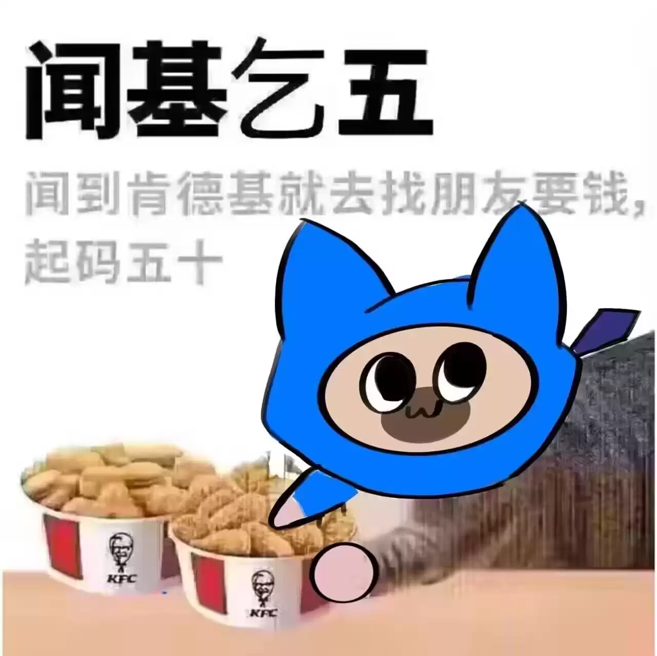 每日丑猫（10） - 丑猫TV - 踩蘑菇社区