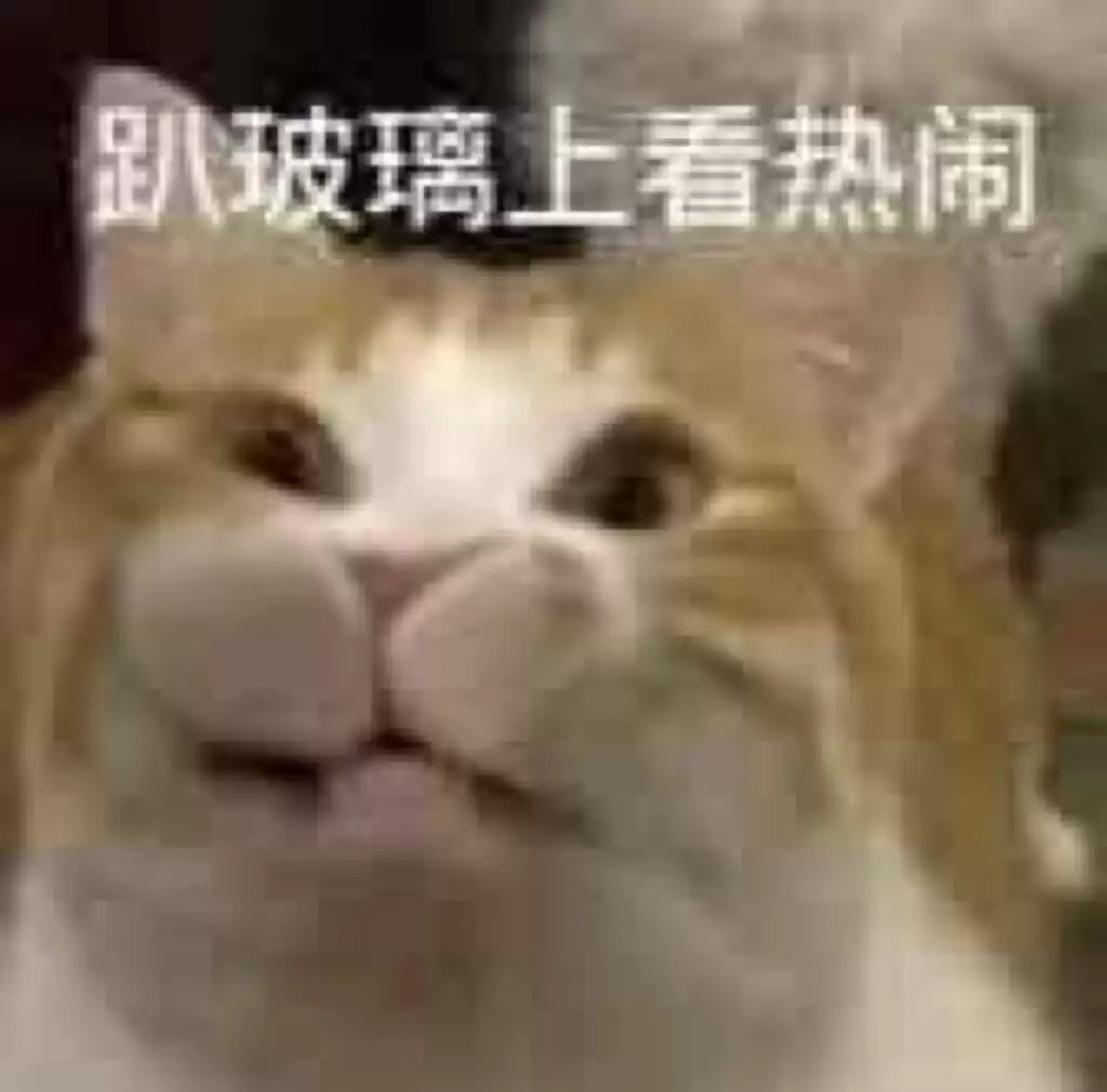 每日丑猫（16） - 丑猫TV - 踩蘑菇社区