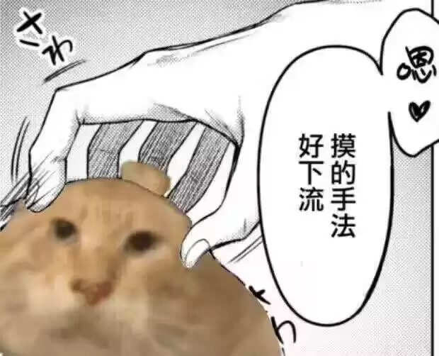 每周丑猫（25） - 丑猫TV - 踩蘑菇社区