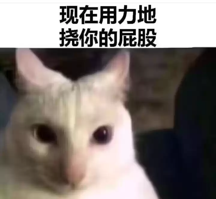 每月丑猫（29） - 丑猫TV - 踩蘑菇社区