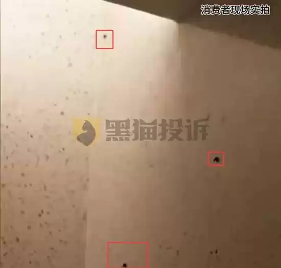 1600元一晚的酒店墙上爬满活虫 只补偿积分和一盒茶叶 - 游戏圈那些事 - 踩蘑菇社区