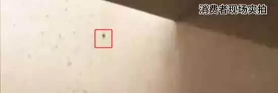 1600元一晚的酒店墙上爬满活虫 只补偿积分和一盒茶叶 - 游戏圈那些事 - 踩蘑菇社区